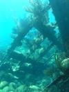 shipwreck montana bow bermuda