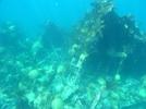 shipwreck Montana Bermuda