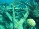 shipwreck montana paddlewheel